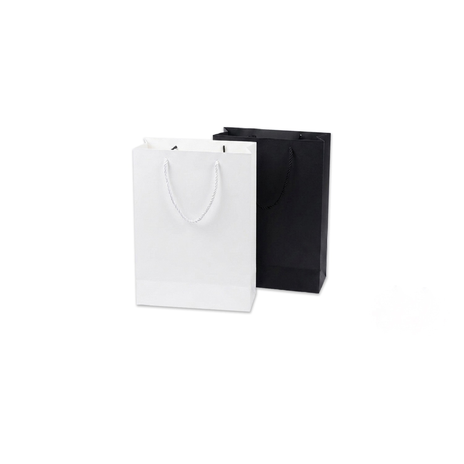 Paper Bag 23*18*10